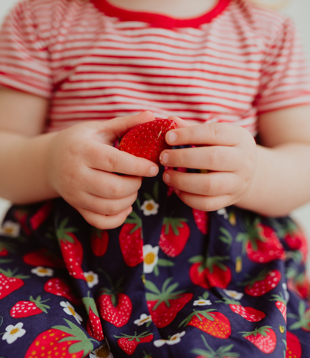 Strawberry & Stripe Jersey Dress