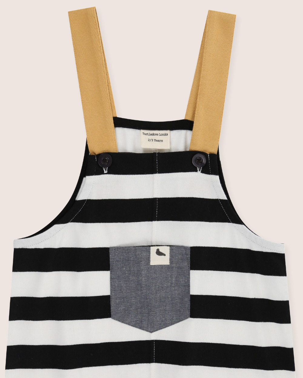 Multicolour Wide Stripe Print Dungarees