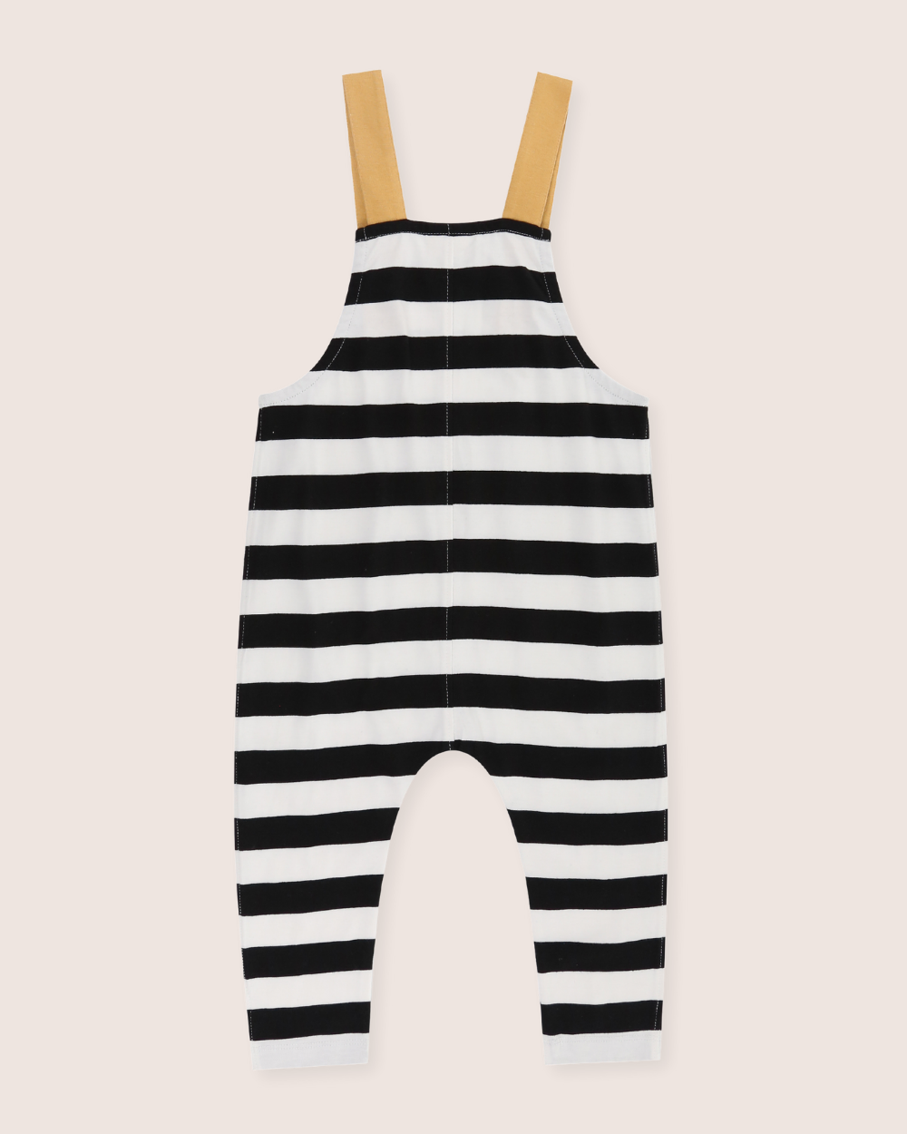 Multicolour Wide Stripe Print Dungarees