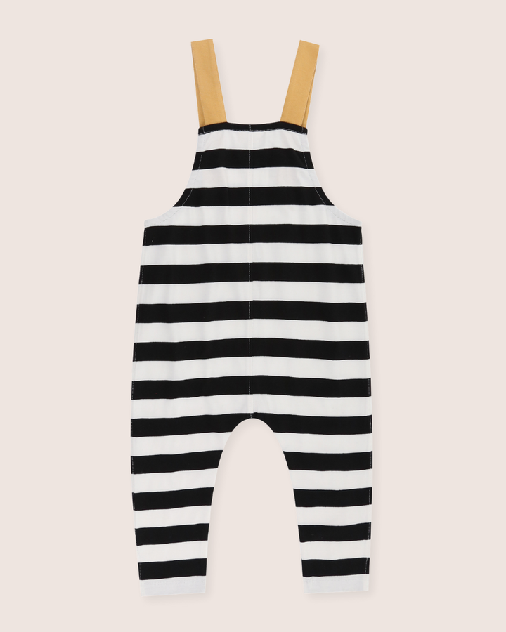 Multicolour Wide Stripe Print Dungarees