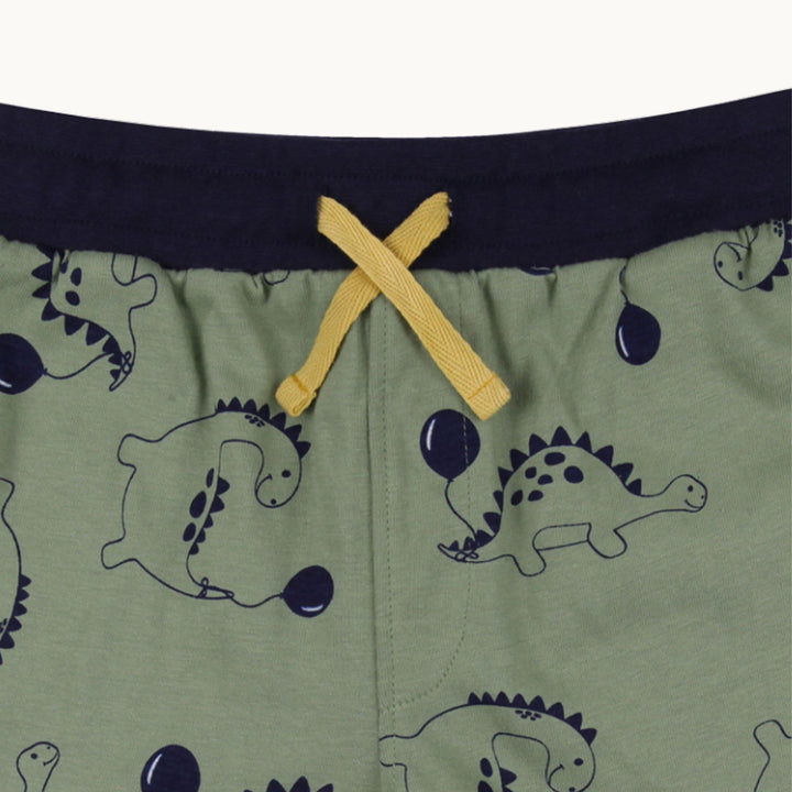 2-Pack Dizzy Dino & Stripe print Shorts - image 3