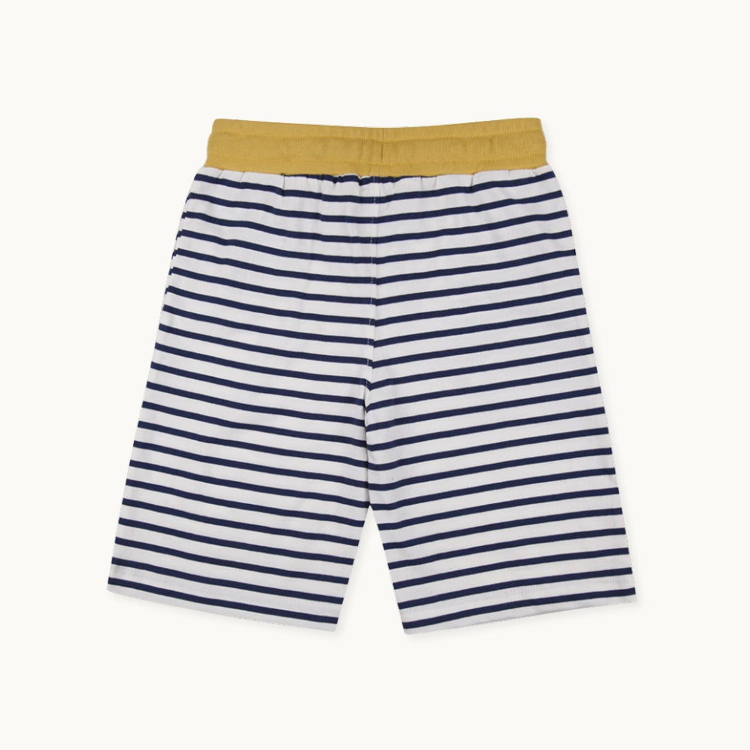 2-Pack Dizzy Dino & Stripe print Shorts - image 9