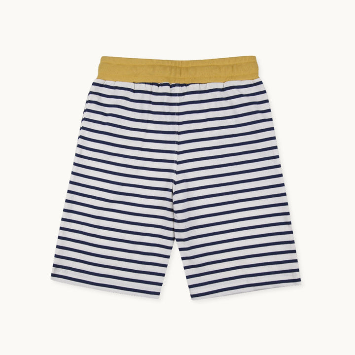 2-Pack Dizzy Dino & Stripe print Shorts - image 9