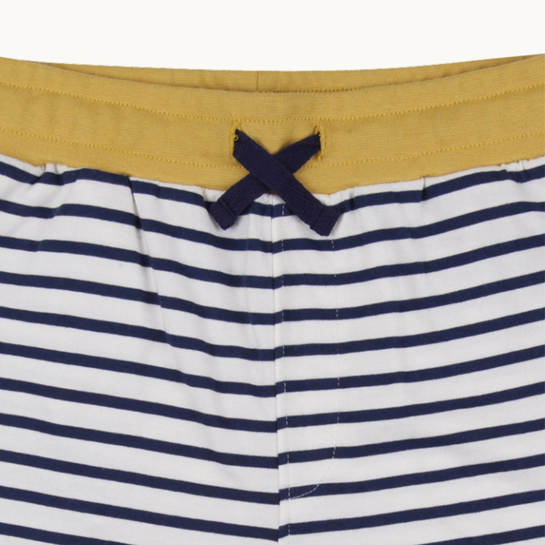 2-Pack Dizzy Dino & Stripe print Shorts - image 7