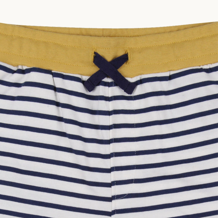 2-Pack Dizzy Dino & Stripe print Shorts - image 7