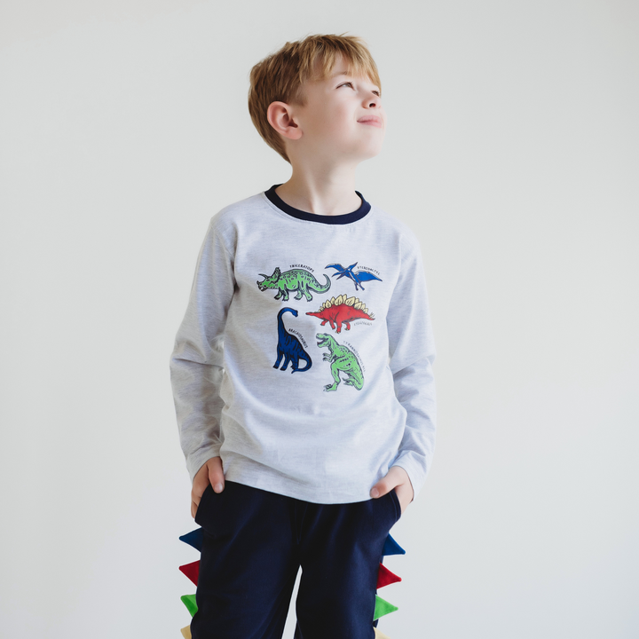 organic cotton Grey Dinosaur Print Top - lifestyle image 