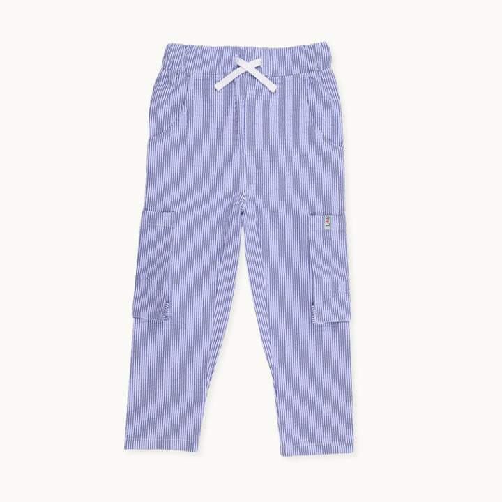 Blue Stripe Woven Cargo Trouser with white ties - image 1