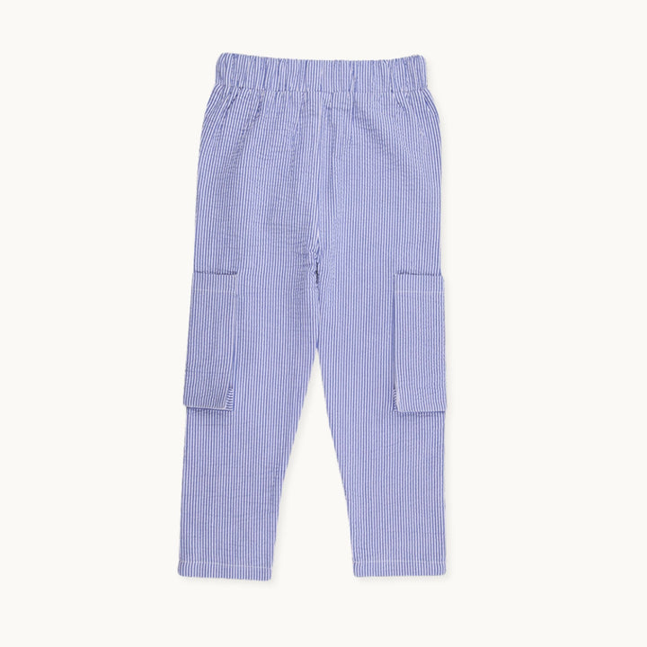 Blue Stripe Woven Cargo Trouser with white ties - image 2