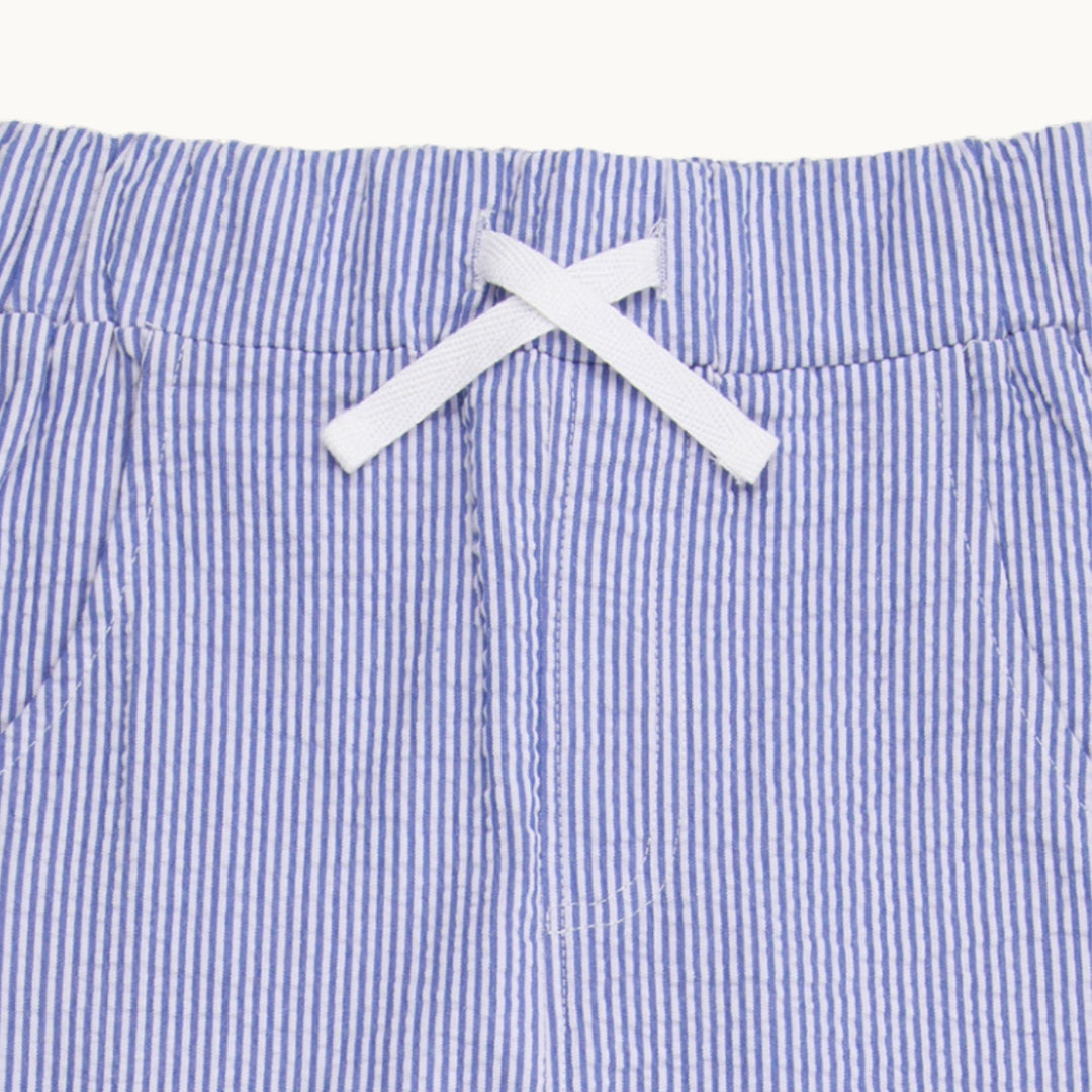 Blue Stripe Woven Cargo Trouser with white ties - image 3