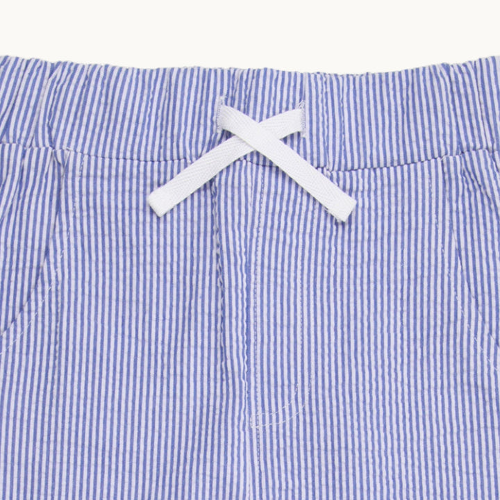 Blue Stripe Woven Cargo Trouser with white ties - image 3
