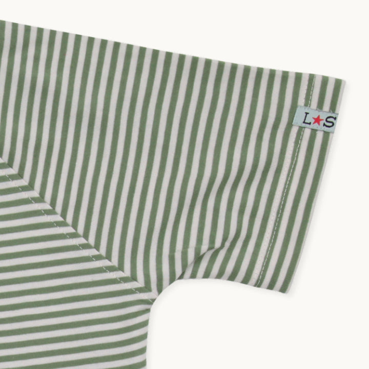 organic cotton kids Dizzy Dino Roar print short sleeve T-Shirt - sleeve close up