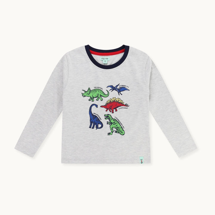 organic cotton Grey Dinosaur Print Top - image 1