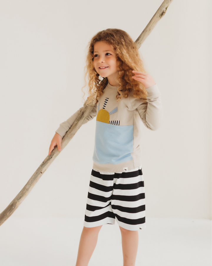 Multicolour Wide Stripe Print Shorts