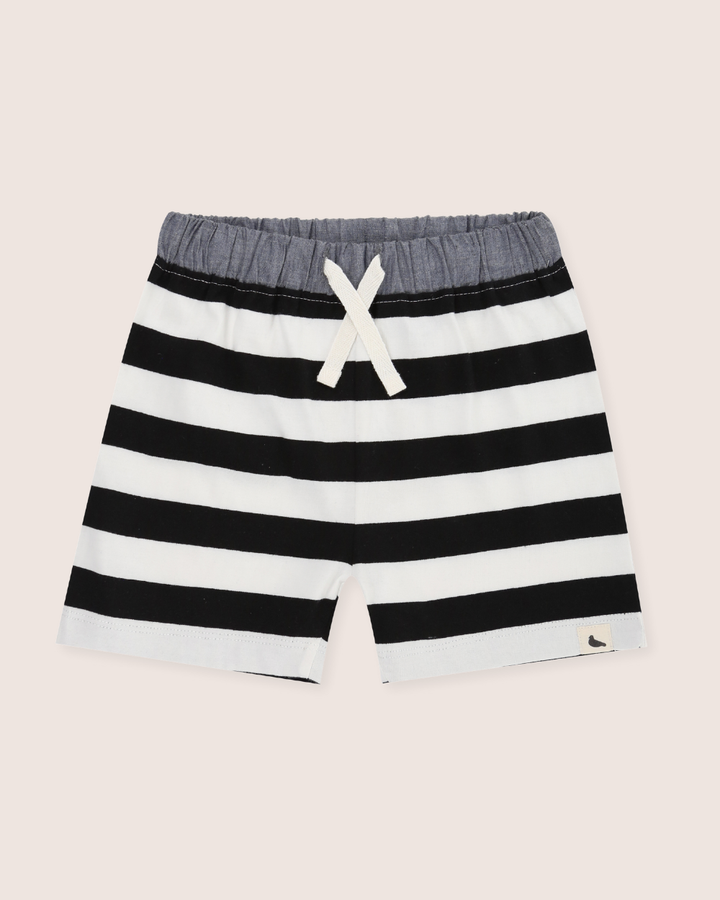 Multicolour Wide Stripe Print Shorts