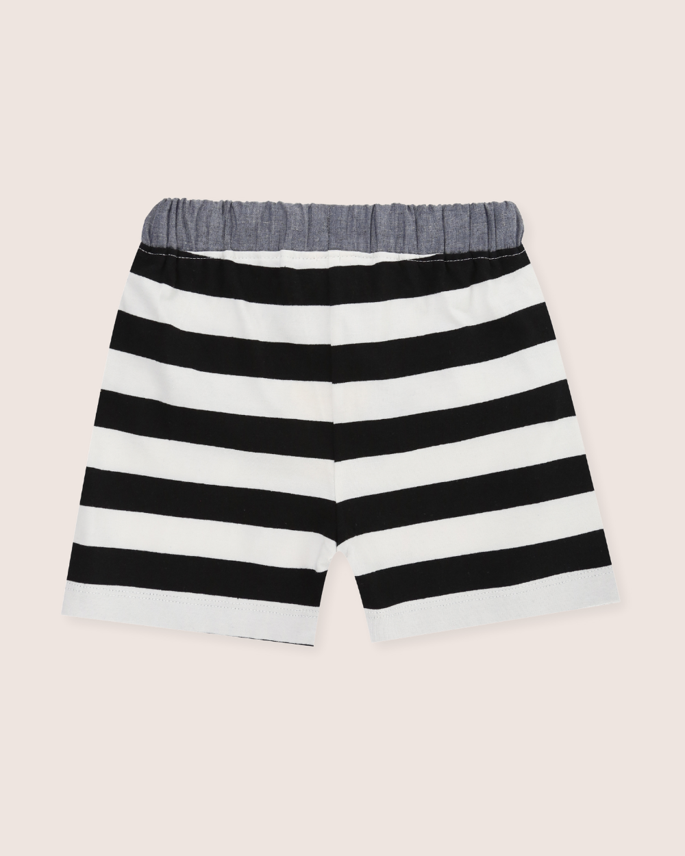 Multicolour Wide Stripe Print Shorts