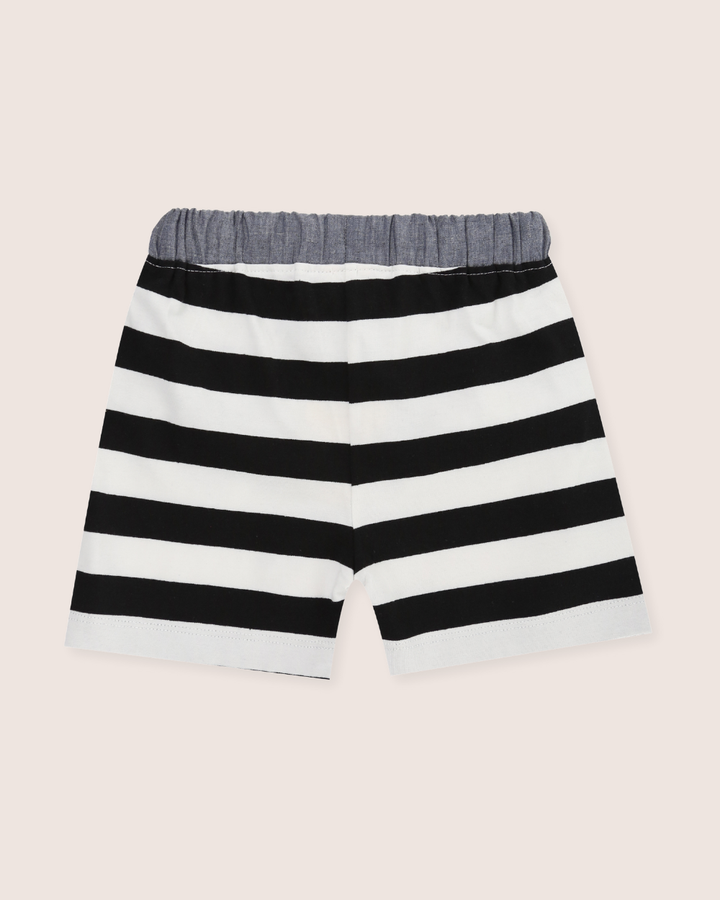 Multicolour Wide Stripe Print Shorts