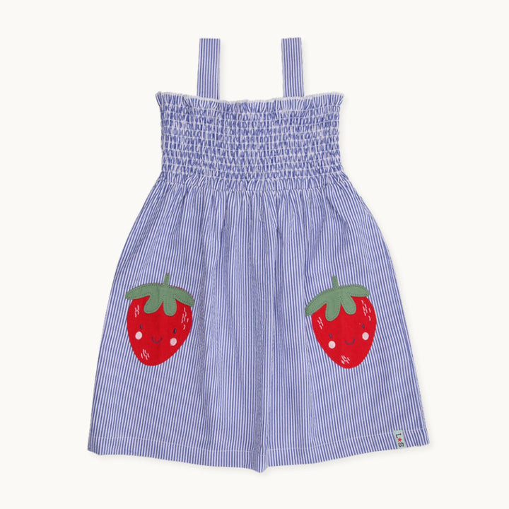Blue Strawberry Applique Dress