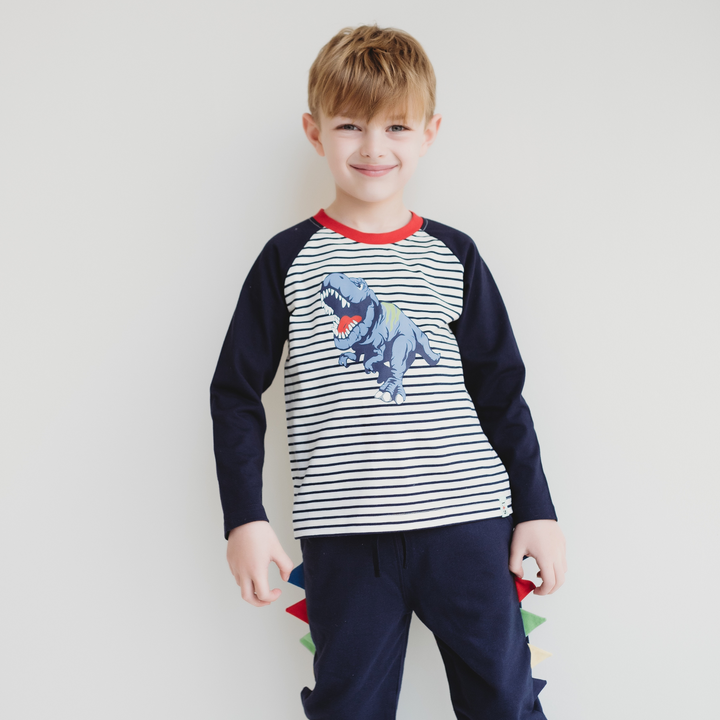 organic cotton Multicoloured Dinosaur Print full sleeve Top - lifestyle image 