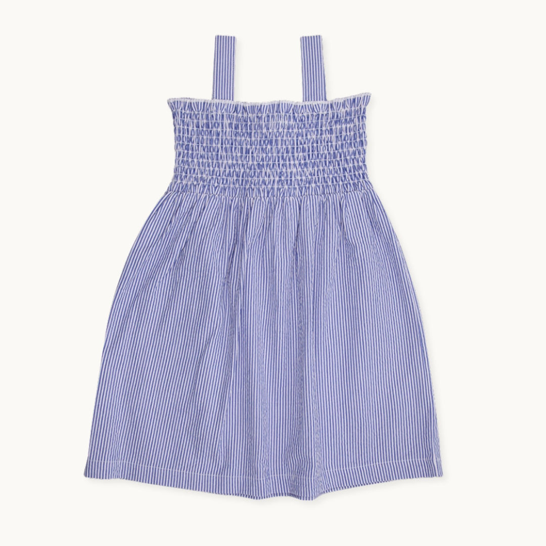 Blue Strawberry Applique Dress