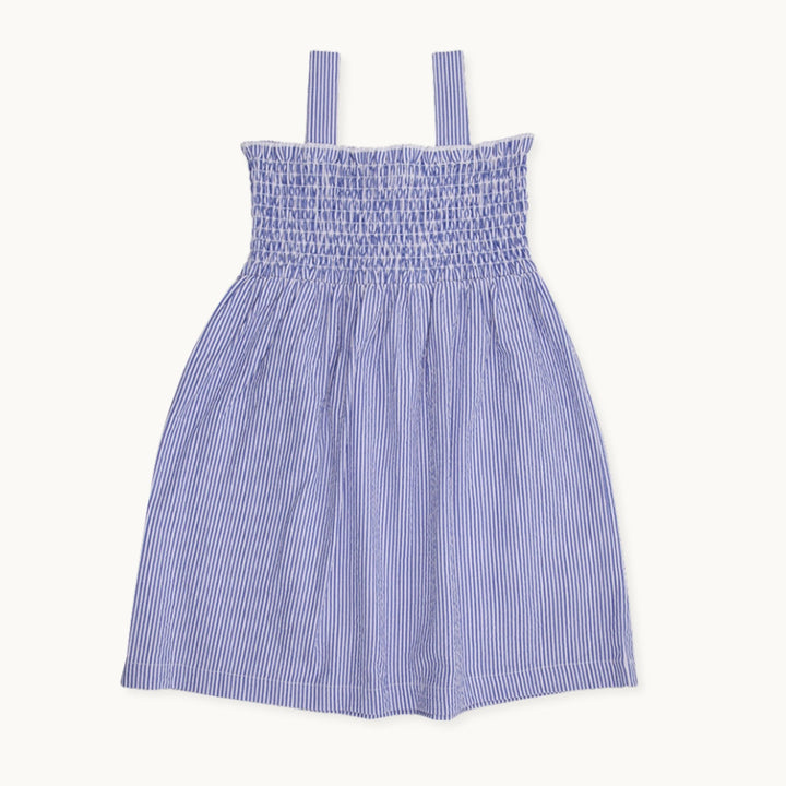 Blue Strawberry Applique Dress