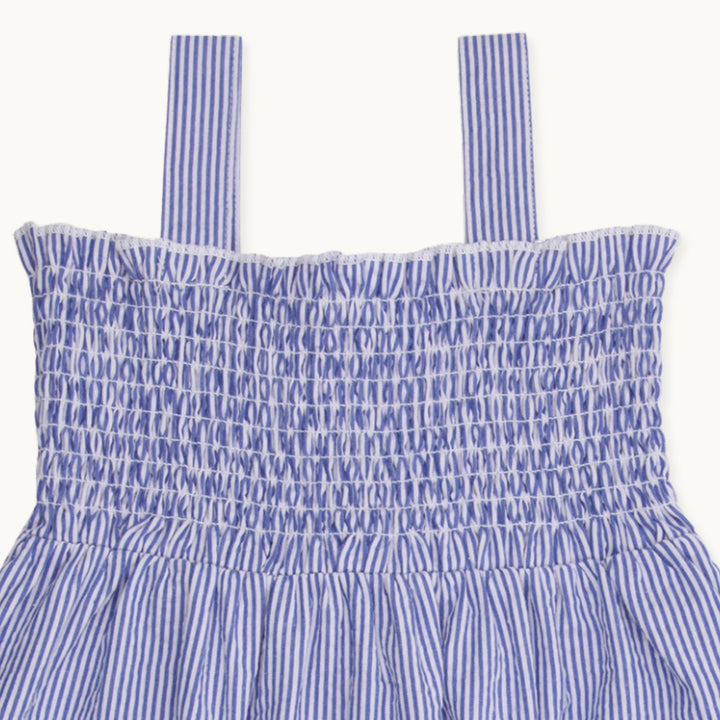 Blue Strawberry Applique Dress