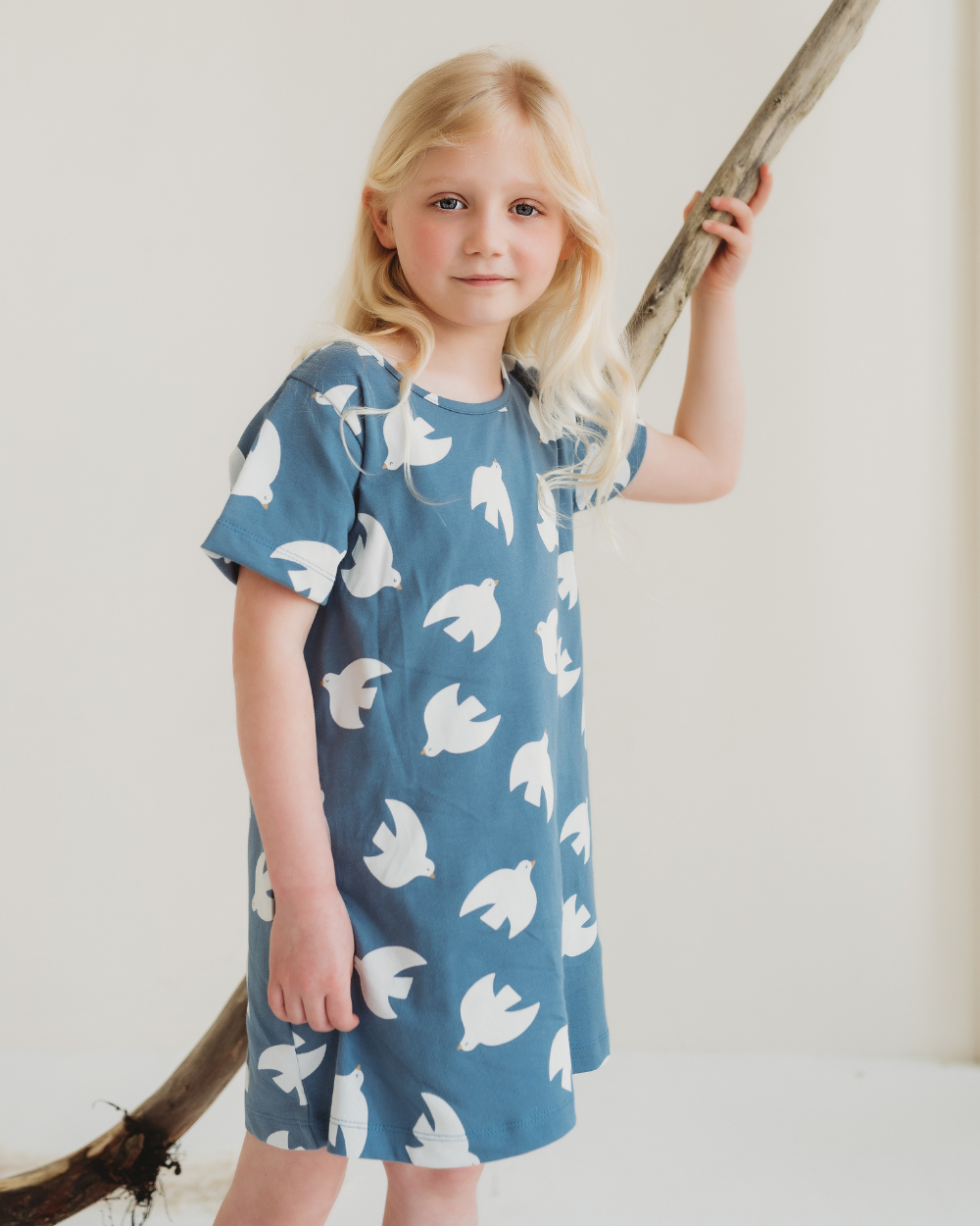 Blue Seagull Print Dress