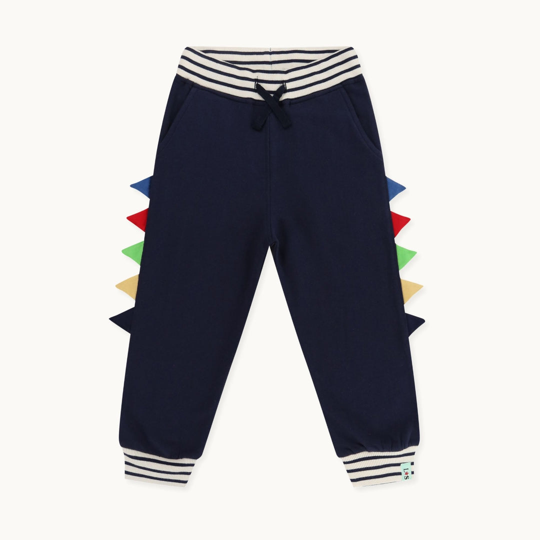 organic cotton Navy Dinosaur Applique Joggers - image 1
