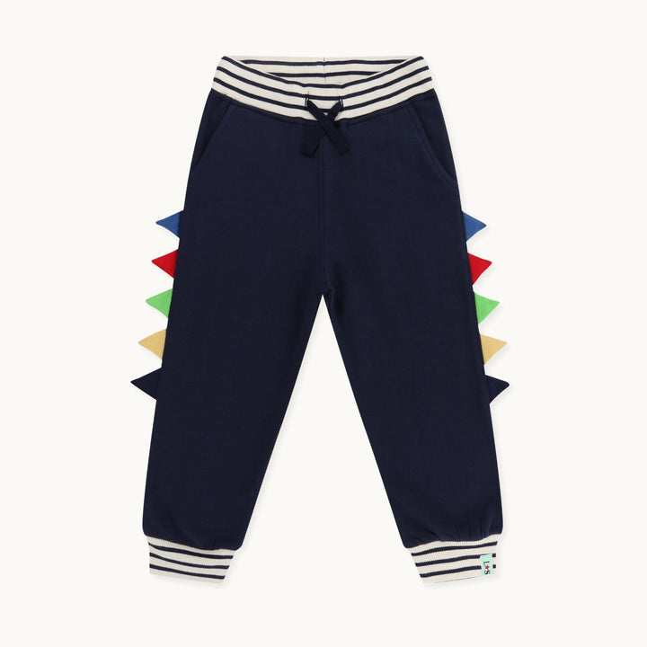 organic cotton Navy Dinosaur Applique Joggers - image 1
