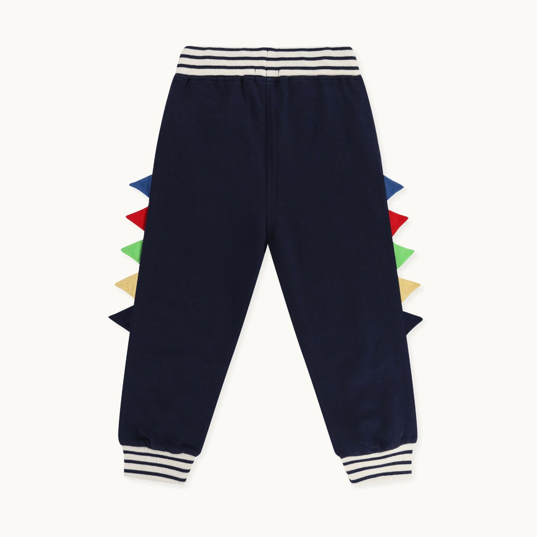organic cotton Navy Dinosaur Applique Joggers - image 4