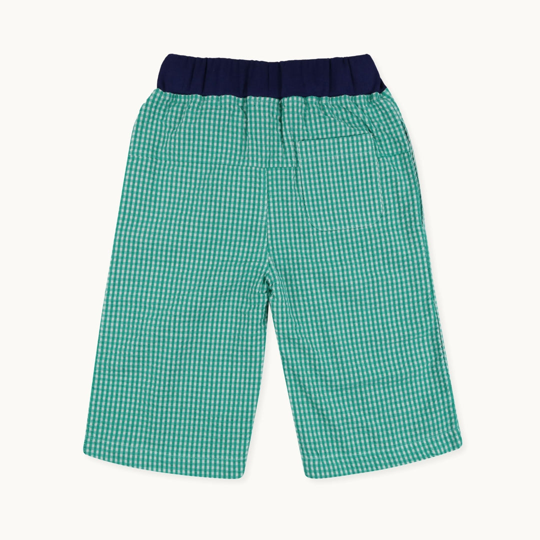 Gingham Green Shorts Back