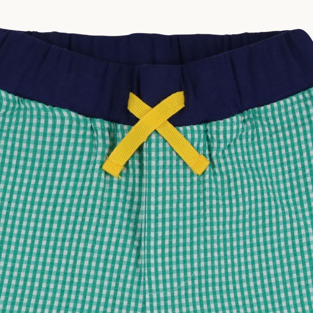 Gingham Green Shorts Close up