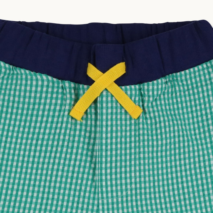 Gingham Green Shorts Close up