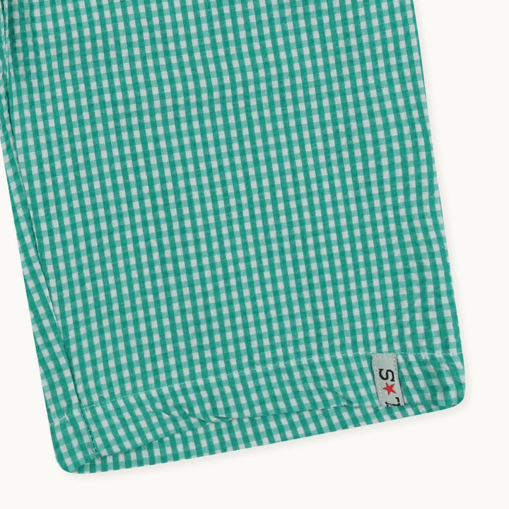 Gingham Green Shorts Close up 2