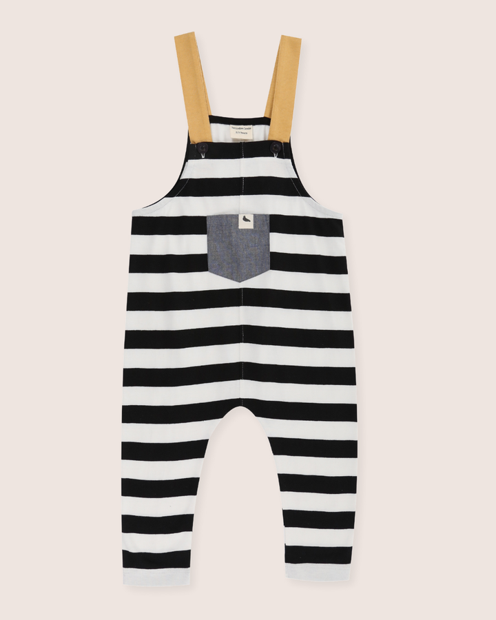 Multicolour Wide Stripe Print Dungarees