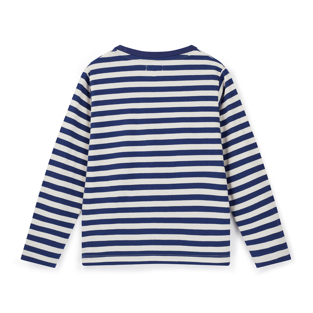 Blue and white striped long-sleeve shirt on a white background