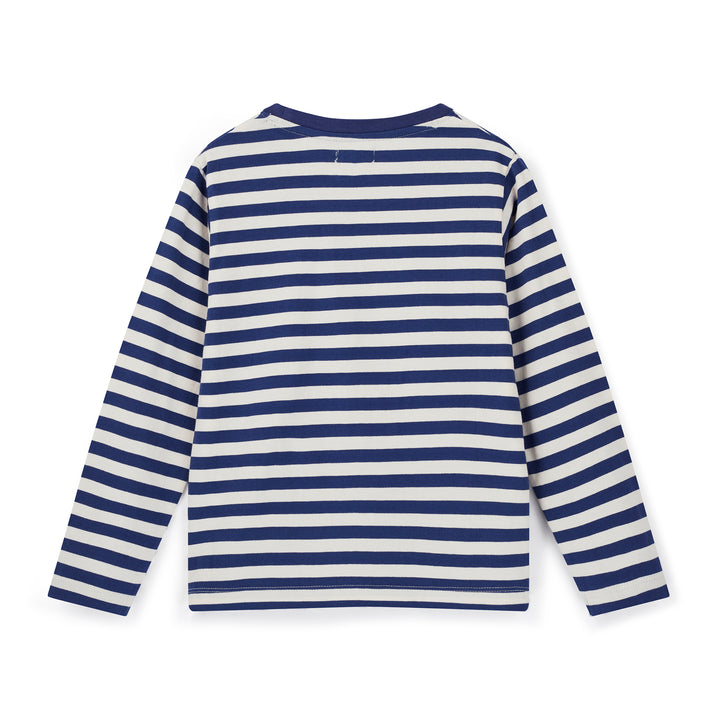 Blue and white striped long-sleeve shirt on a white background