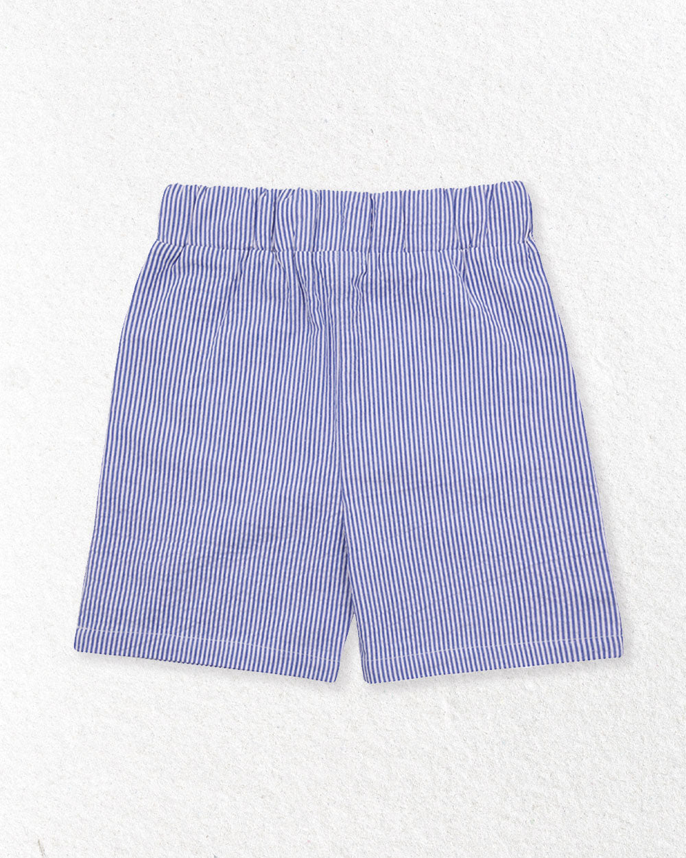 Blue Stripe Woven Shorts