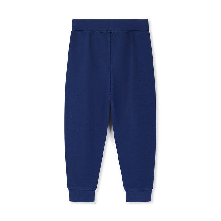 Blue sweatpants on a white background