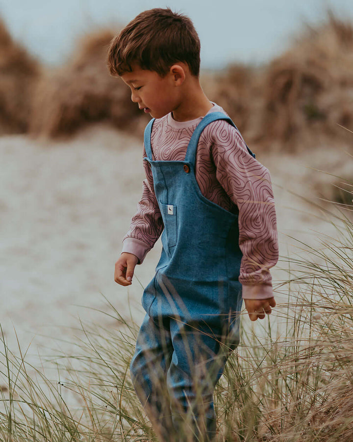 Blue Light Denim Dungarees