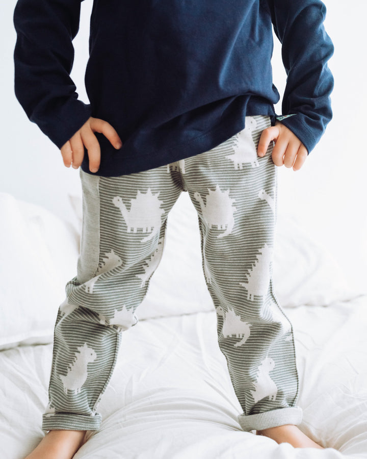 organic cotton dinosaur reversible joggers with pocket - image 5