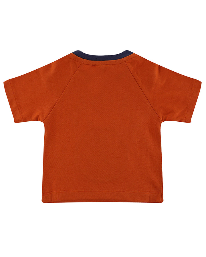 organic cotton Cheetah applique short sleeve top and cheetah print Shorts Set - image 3