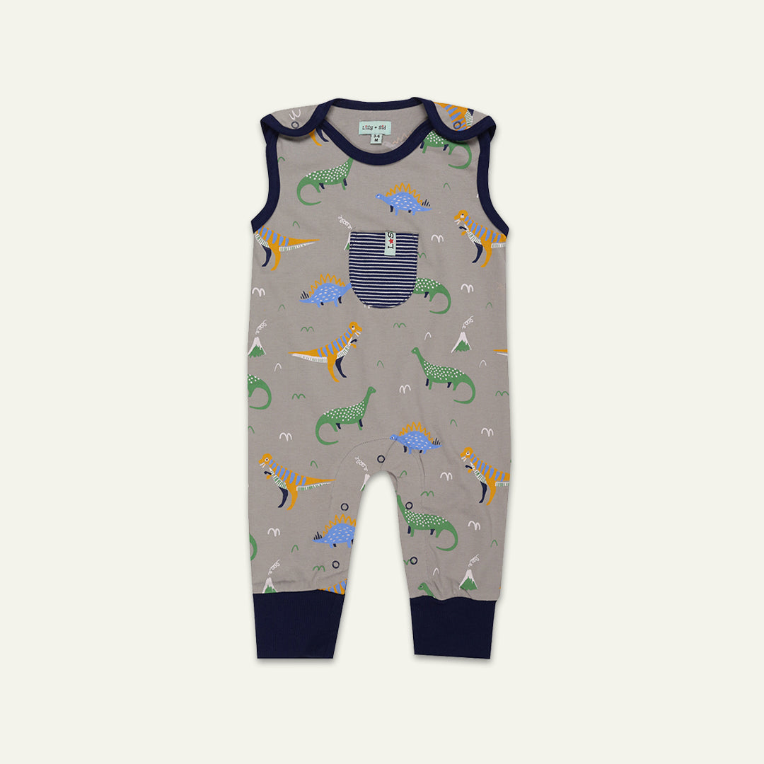 Dino Print Dungaree & Navy Top Set