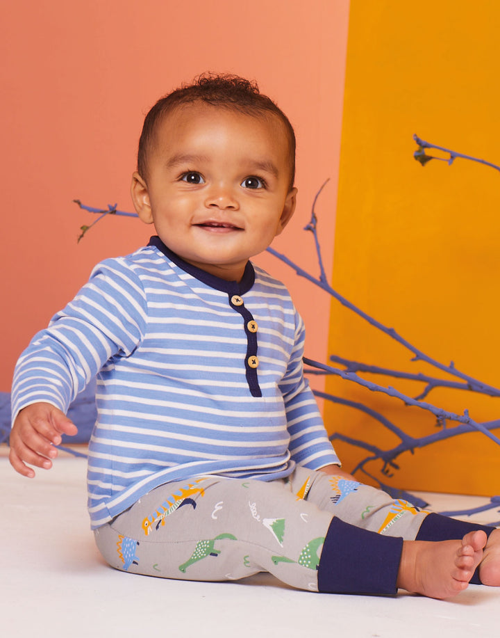 organic cotton 2 pack dinosaur print and navy stripe legging set - image 5