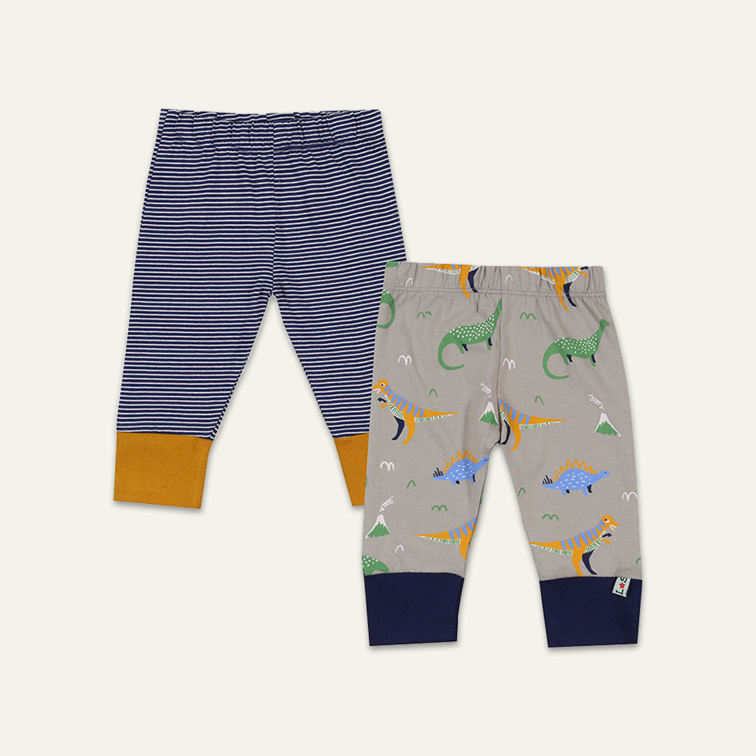 organic cotton 2 pack dinosaur print and navy stripe legging set - image 1 