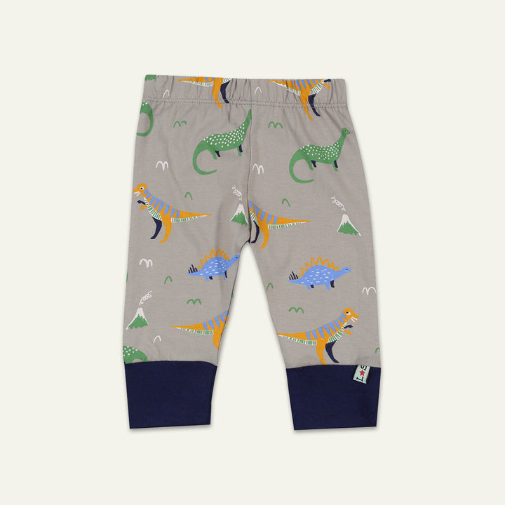 organic cotton 2 pack dinosaur print and navy stripe legging set - image 3