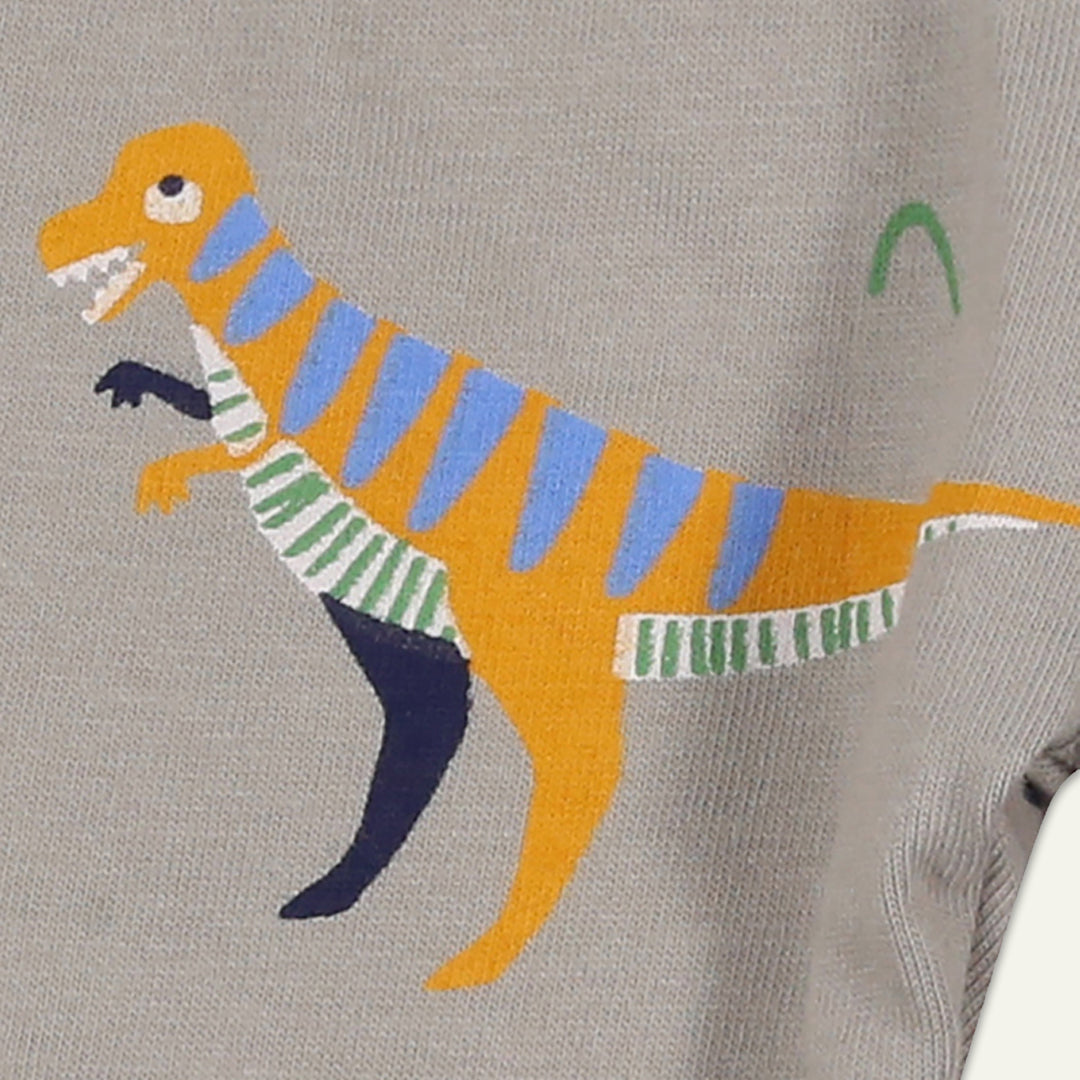 organic cotton 2 pack dinosaur print and navy stripe legging set - image 4