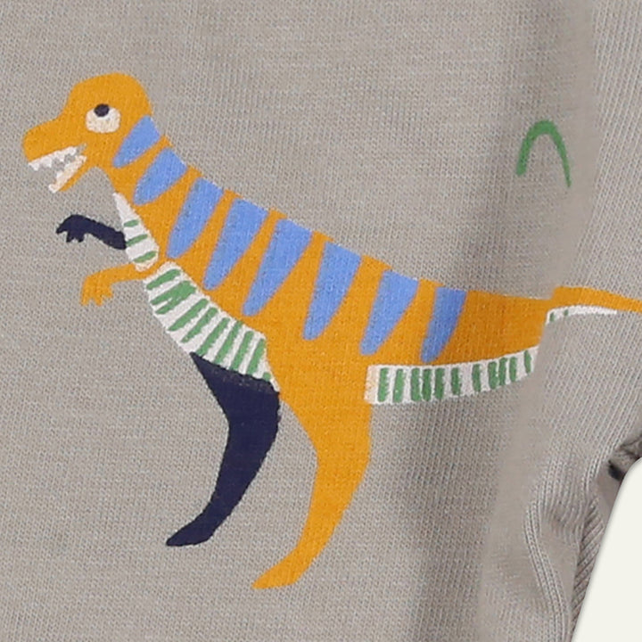 organic cotton 2 pack dinosaur print and navy stripe legging set - image 4