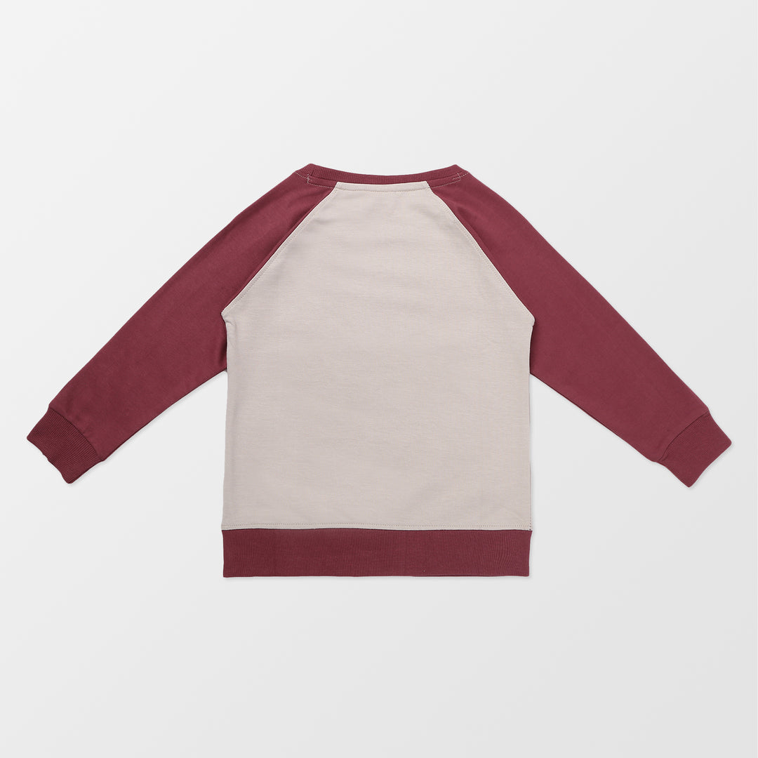 Soft organic kids sweatshirt