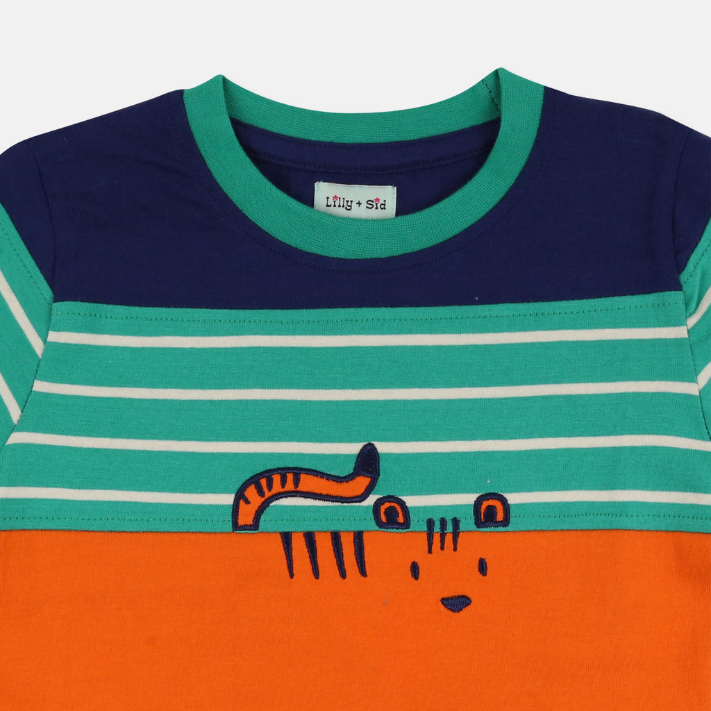 Boys tiger t-shirt