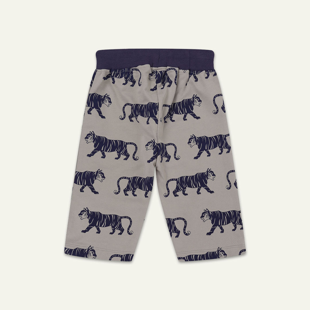 2pk shorts - tiger/stripe